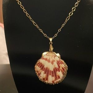 Sea shell necklace 🐚 22inch